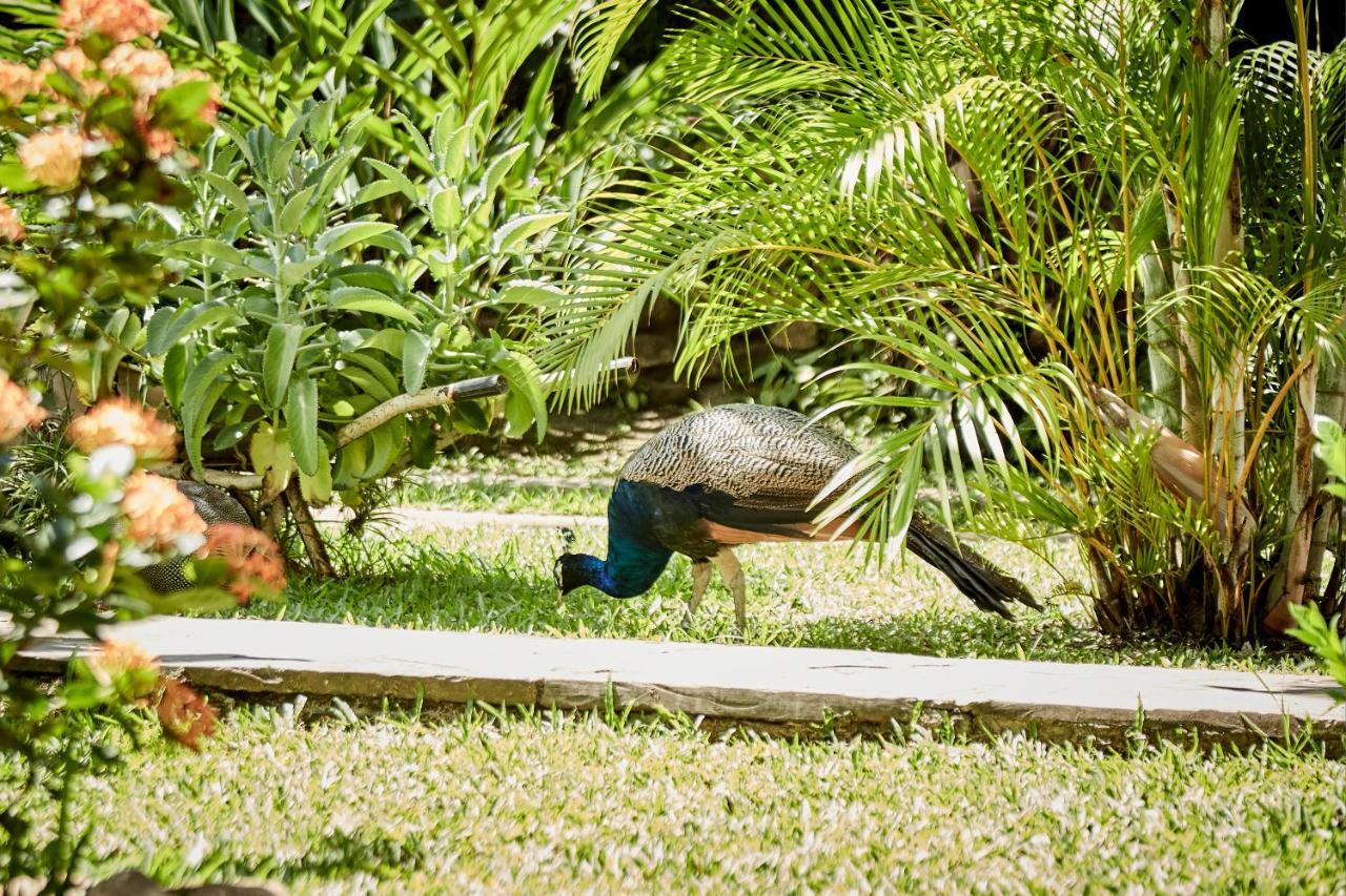 Villa Lu Amazon Ecolodge タラポト エクステリア 写真
