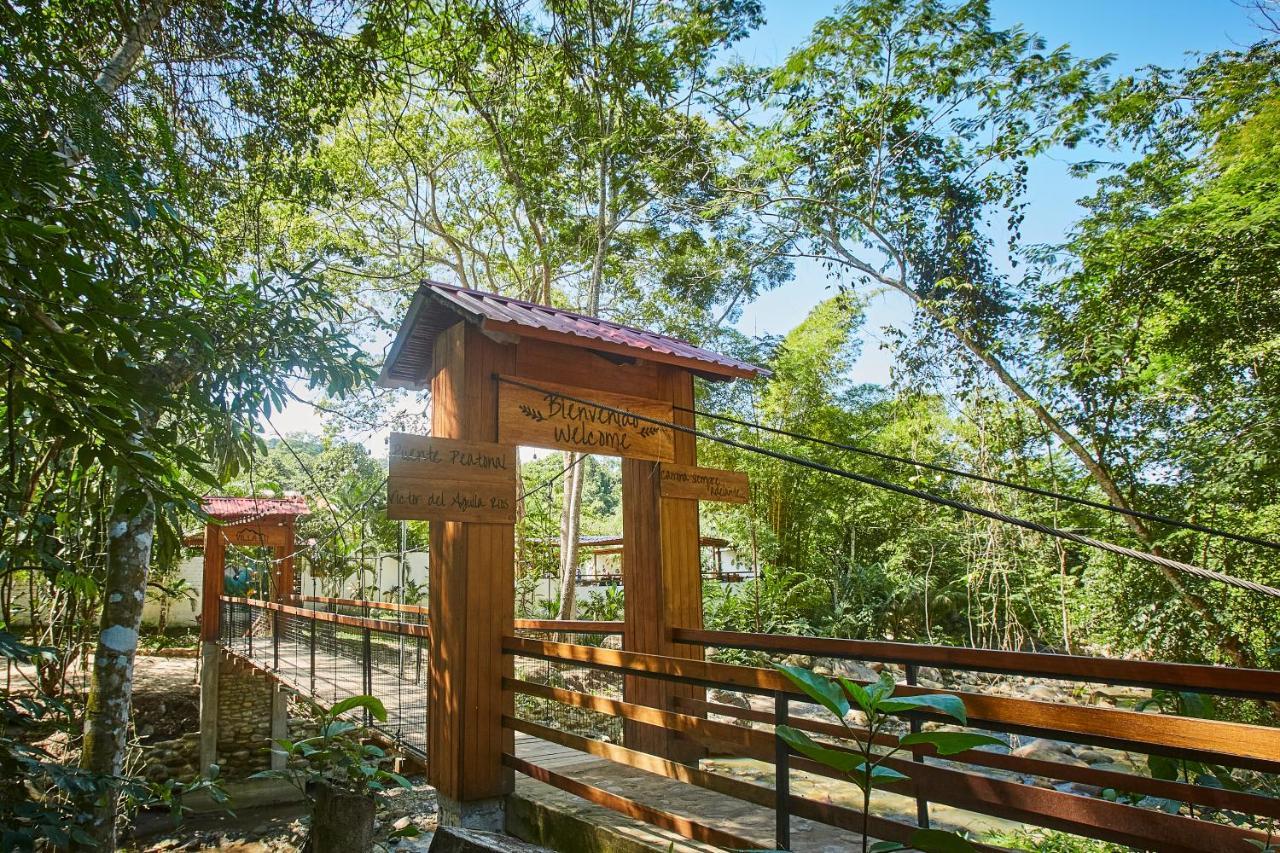 Villa Lu Amazon Ecolodge タラポト エクステリア 写真