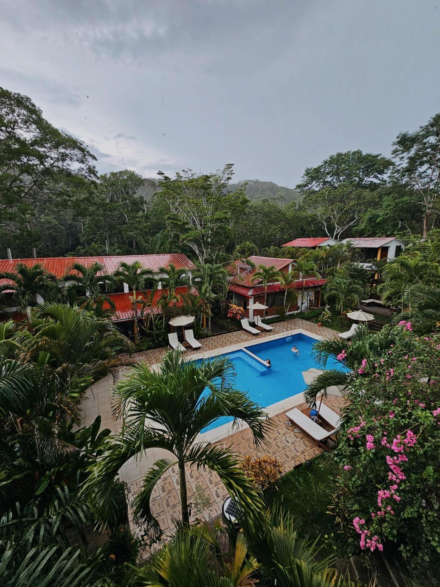 Villa Lu Amazon Ecolodge タラポト エクステリア 写真